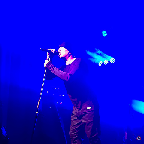 British band Mesh in concert, 01.10.2016, Foto: Kirsten Bohlig // kiraura